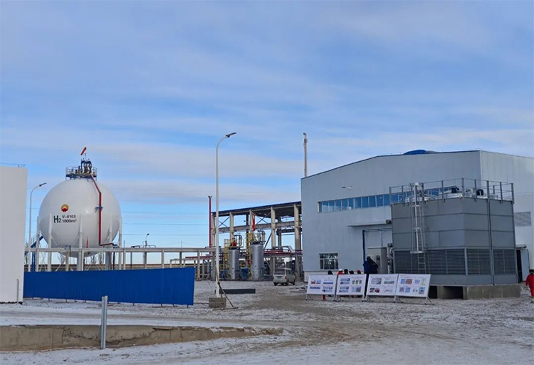 1710916252632031.jpg 9.jpg