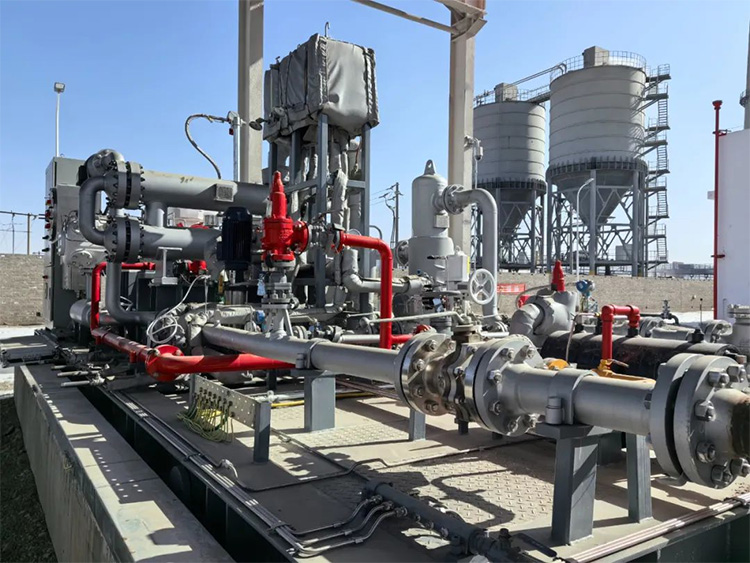 1710916265988653.jpg 10.jpg