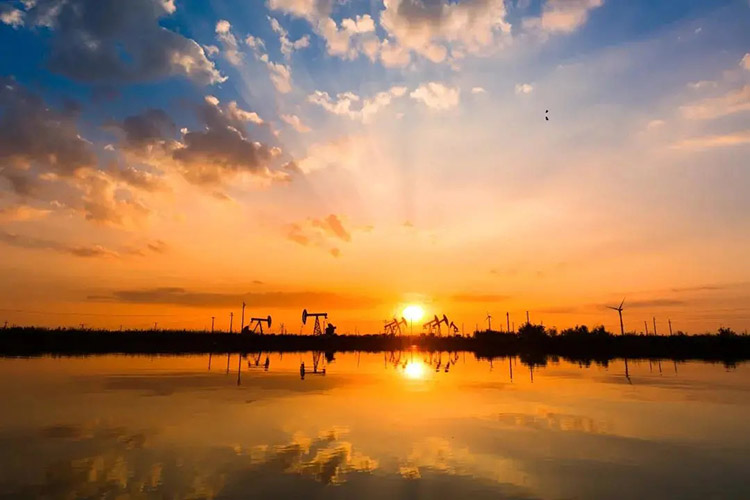 1619503024977412.jpg 20210427_135135_003.jpg