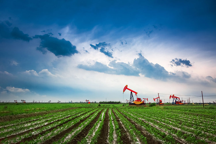 1619503049428159.jpg 20210427_135135_004.jpg